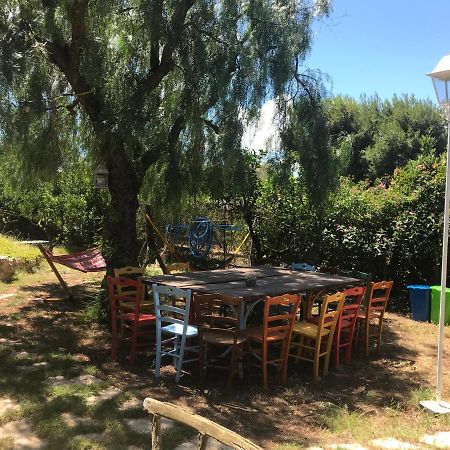 La Pappaghezza Bed & Breakfast Bari Exterior photo